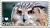 Owl Stamp
